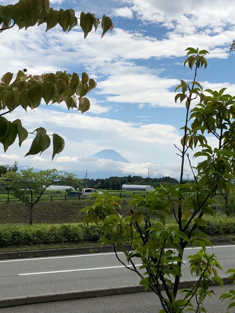 Nさんが投稿したくうかいに関する口コミの画像