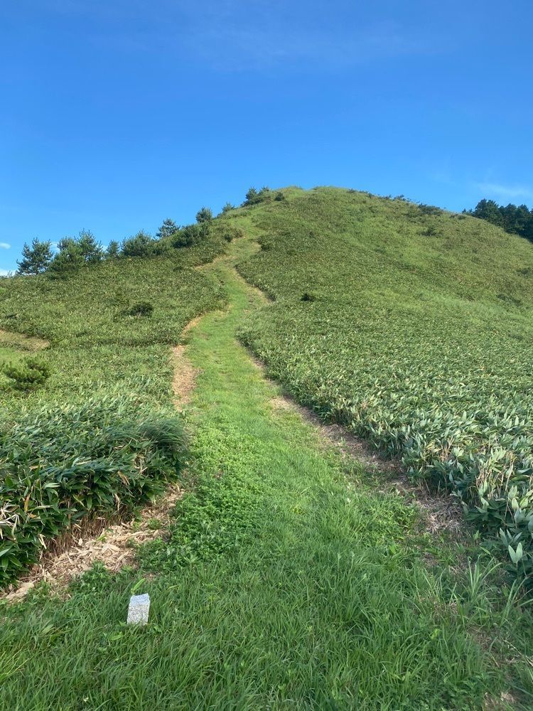 あるふぃすたさんが投稿した雲月山（島根県浜田市）に関する口コミの画像