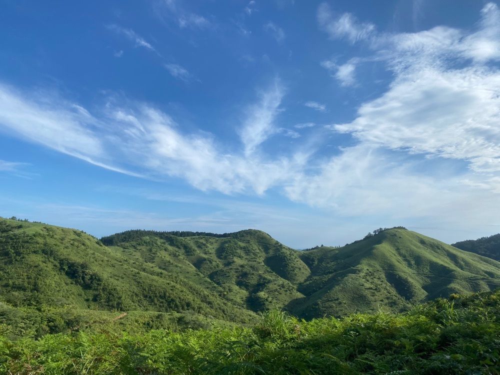 あるふぃすたさんが投稿した雲月山（島根県浜田市）に関する口コミの画像