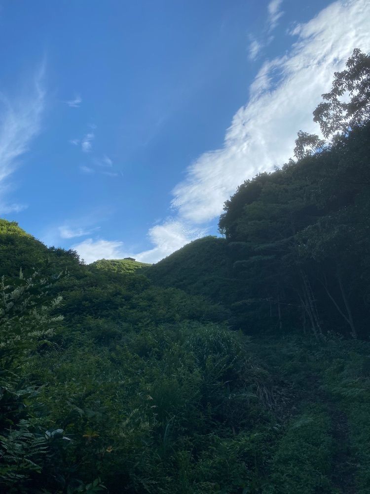 あるふぃすたさんが投稿した雲月山（島根県浜田市）に関する口コミの画像