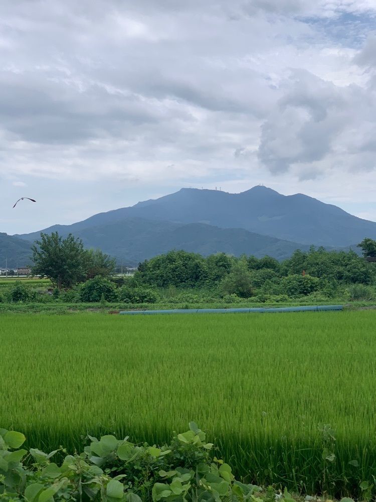 Shoさんが投稿した加波山に関する口コミの画像