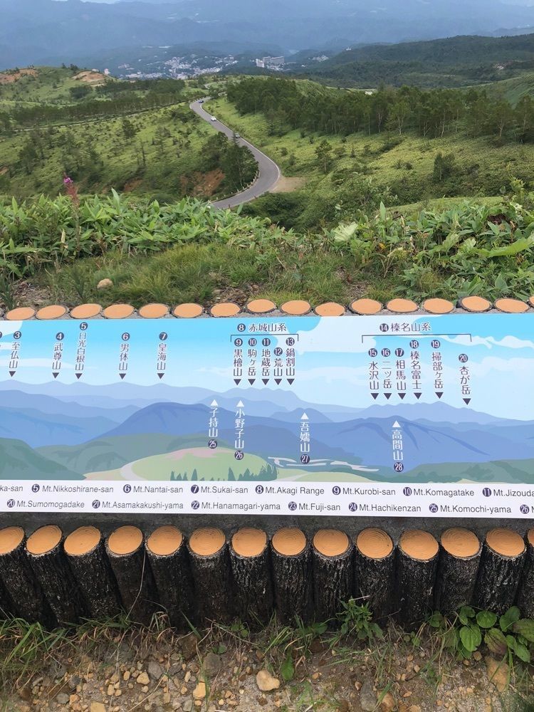からっ風②さんが投稿したクロマメノキに関する口コミの画像