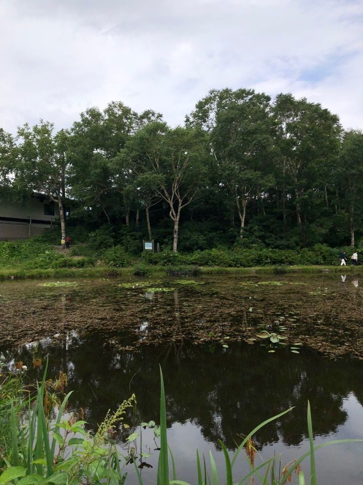 からっ風②さんが投稿したSHIGA BASEに関する口コミの画像