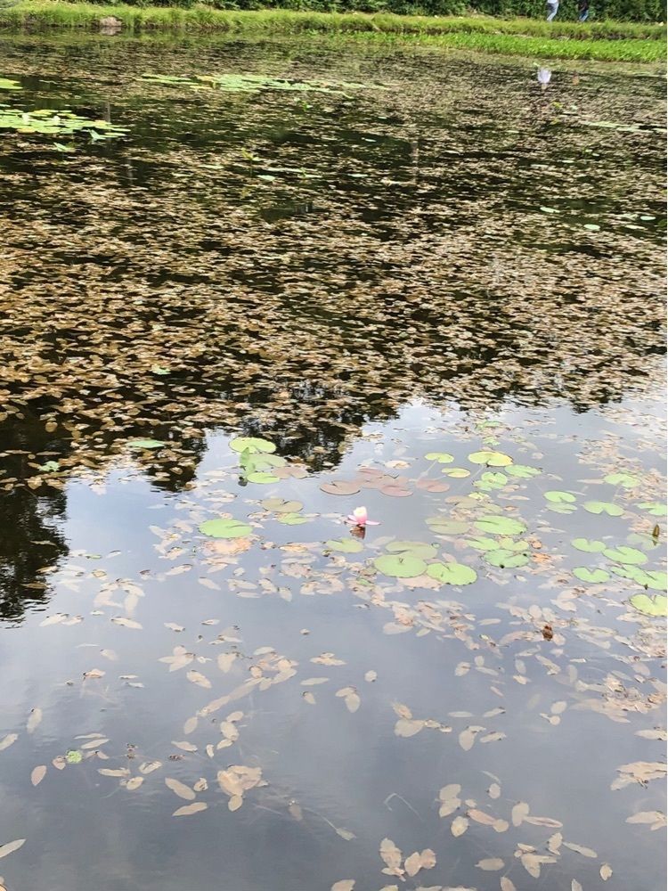 からっ風②さんが投稿したSHIGA BASEに関する口コミの画像