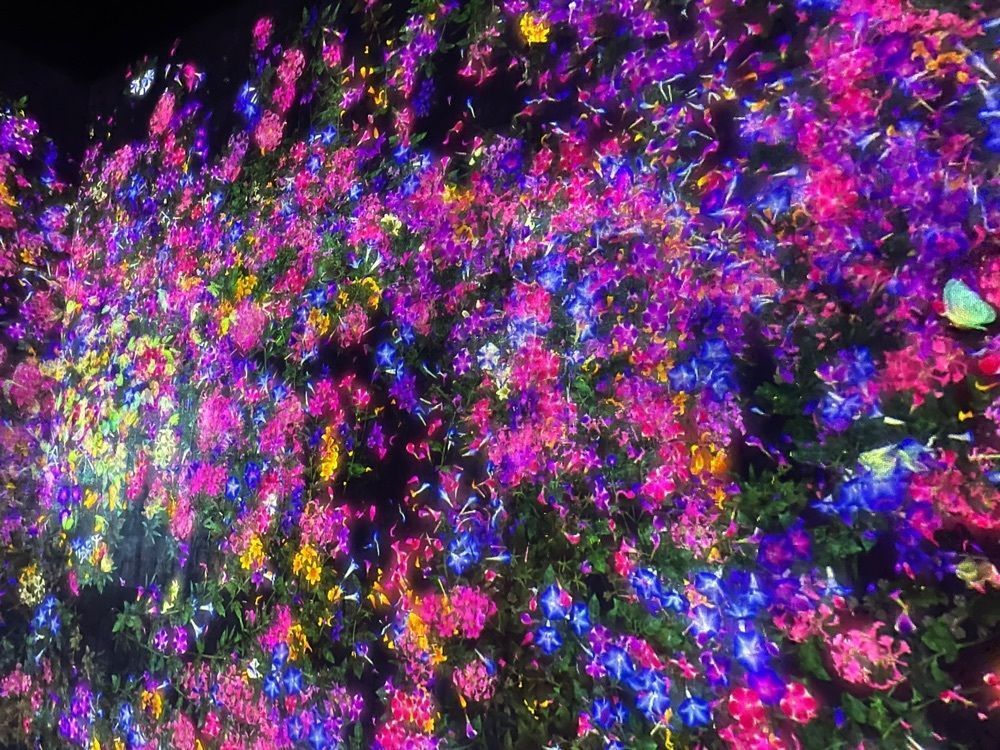 nicoさんが投稿したチームラボボーダレスに関する口コミの画像