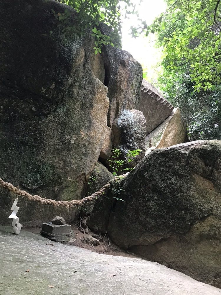 famous_walking_746fさんが投稿した越木岩神社のヒメユズリハ群落に関する口コミの画像