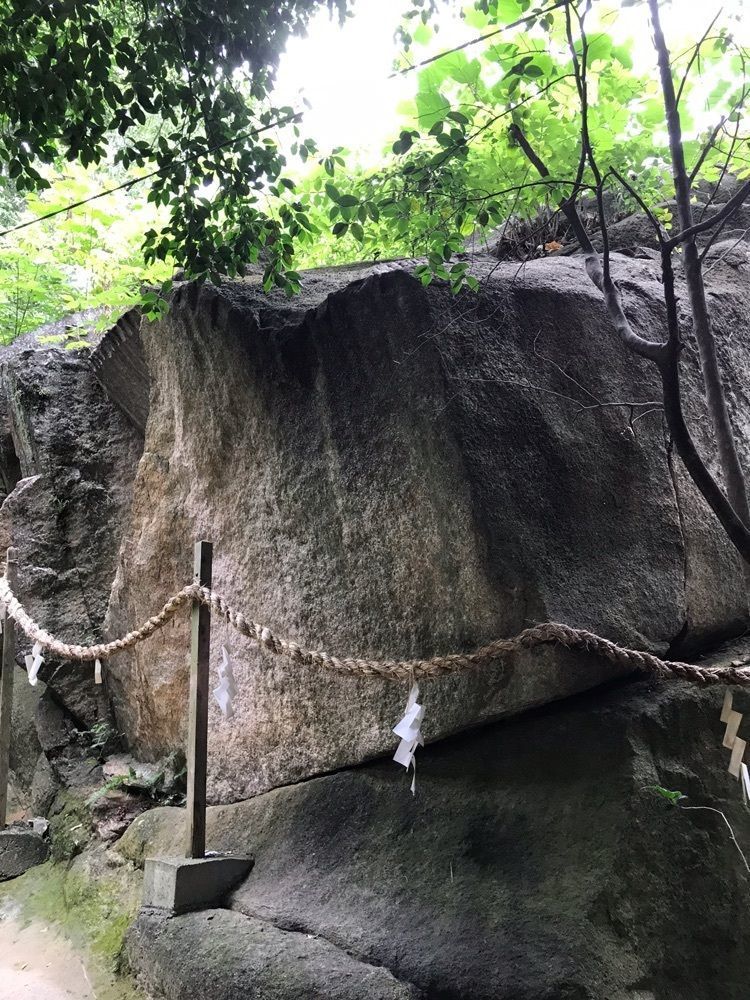 famous_walking_746fさんが投稿した越木岩神社のヒメユズリハ群落に関する口コミの画像