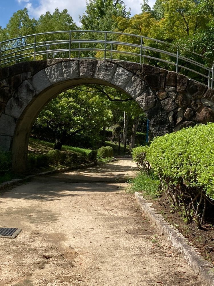うーとらマンさんが投稿した国際児童年記念公園こどもの森に関する口コミの画像