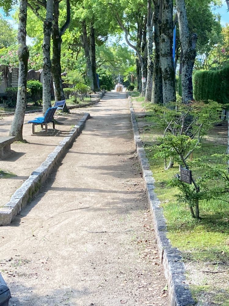 うーとらマンさんが投稿した国際児童年記念公園こどもの森に関する口コミの画像