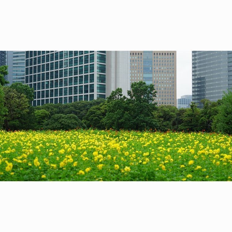 jamesさんが投稿した燕の御茶屋（浜離宮恩賜庭園）に関する口コミの画像