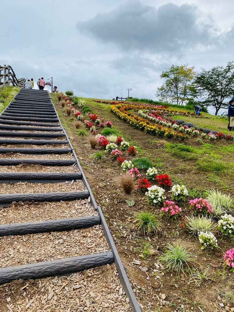 cool_village_20d2さんが投稿した高原キャベツ畑に関する口コミの画像