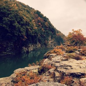 長瀞岩畳