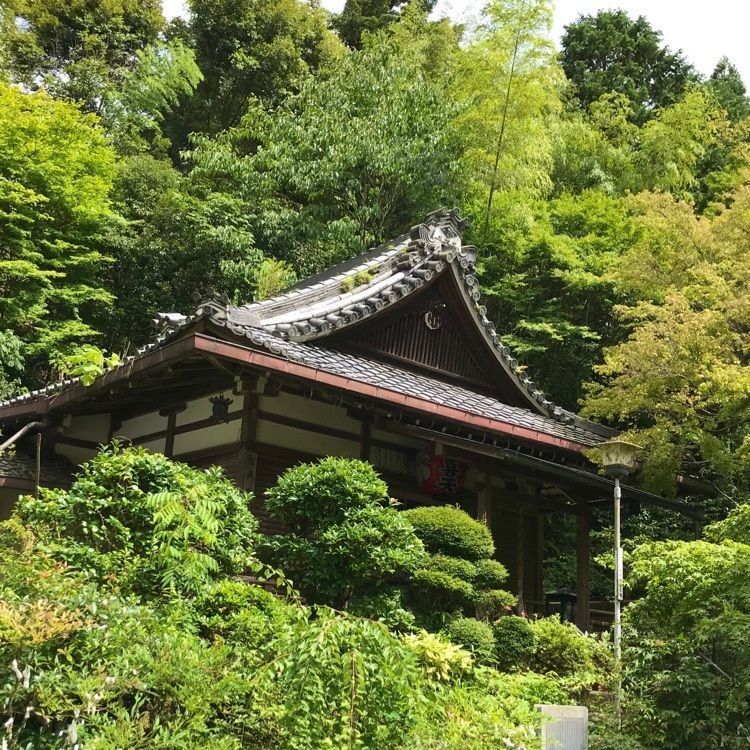 NBR OTさんが投稿した京都市山科区に関する口コミの画像