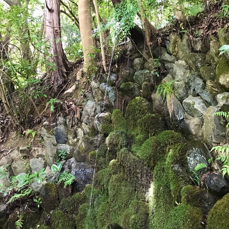 NBR OTさんが投稿した京都市山科区に関する口コミの画像