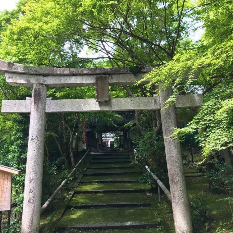 NBR OTさんが投稿した京都市山科区に関する口コミの画像