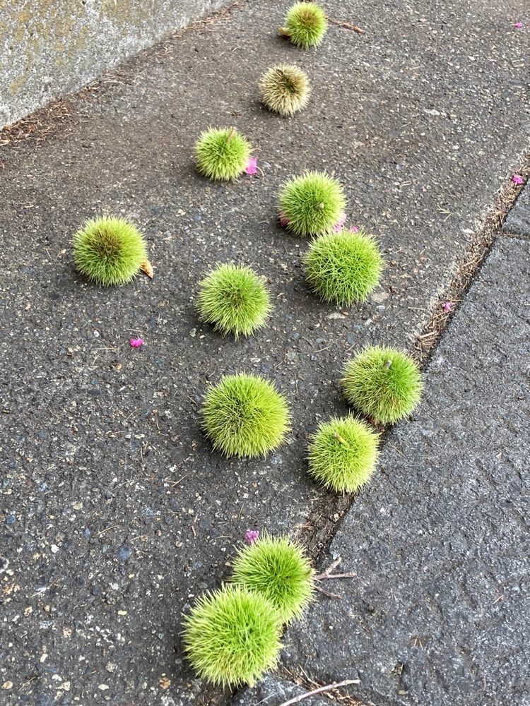 momochiさんが投稿した二郷半に関する口コミの画像