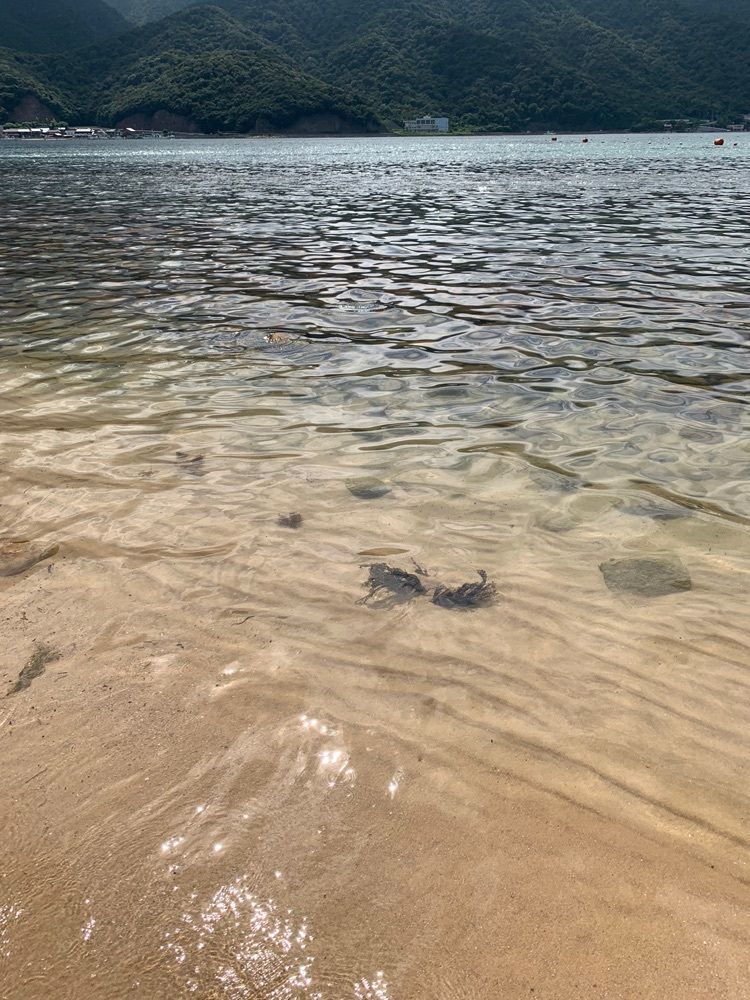 み〜のさんが投稿した水島（福井県敦賀市）に関する口コミの画像