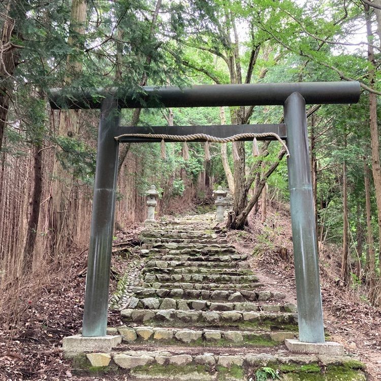 めがゆさんが投稿した千早城跡に関する口コミの画像