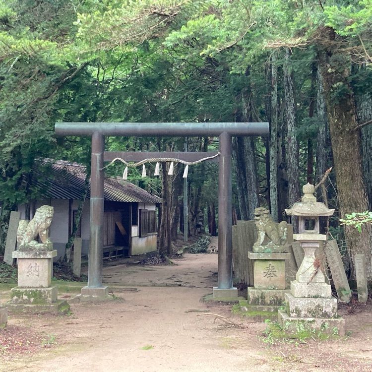 めがゆさんが投稿した千早城跡に関する口コミの画像
