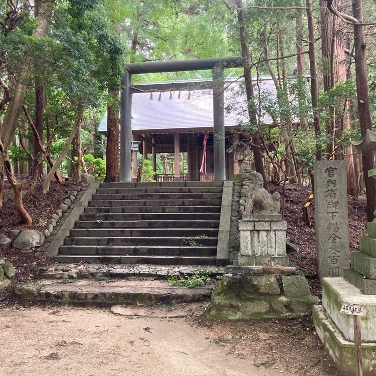 めがゆさんが投稿した千早城跡に関する口コミの画像