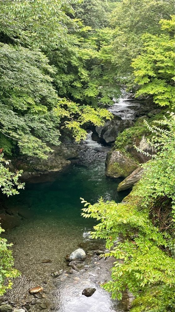 みぃさんが投稿した富郷渓谷に関する口コミの画像