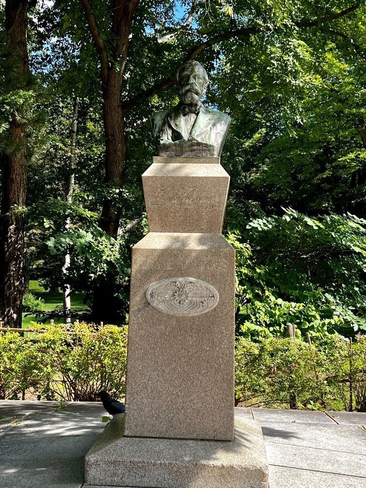 96_take4さんが投稿した北大ポプラ並木に関する口コミの画像