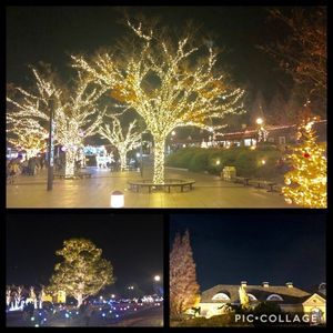 安城産業文化公園デンパーク