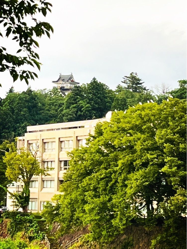 猫なぎ。さんが投稿した横手川に関する口コミの画像