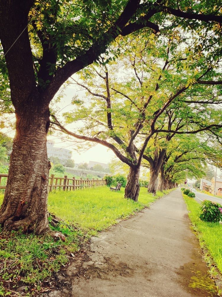 猫なぎ。さんが投稿した旧日新館に関する口コミの画像