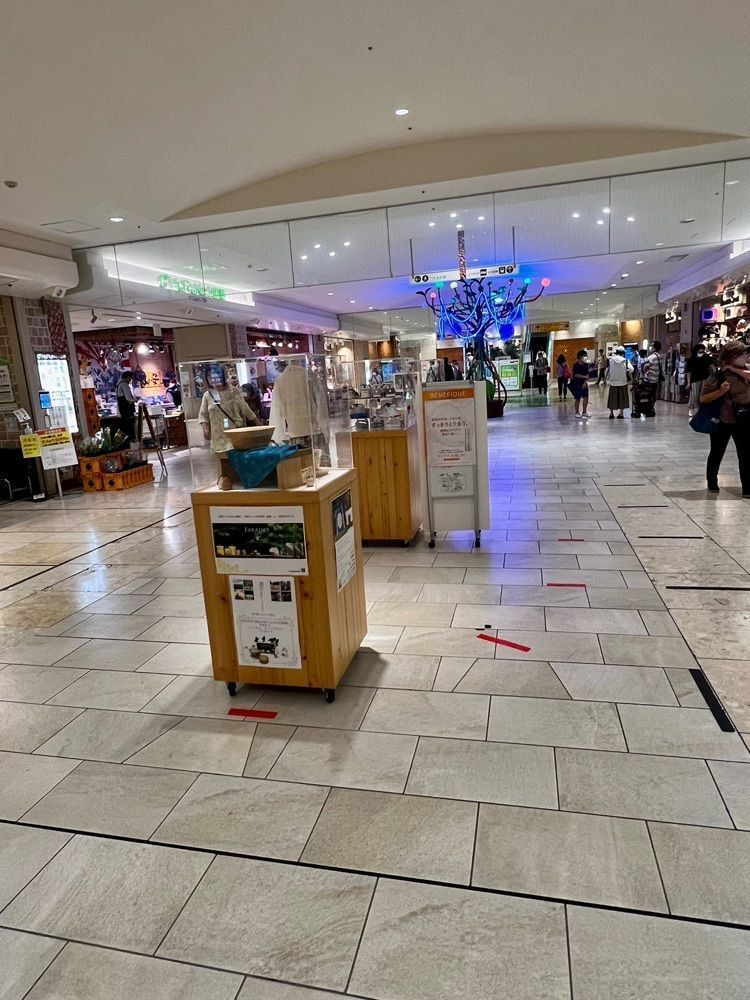 ビンカさんが投稿した田むら 銀かつ亭 HaRuNe小田原店に関する口コミの画像