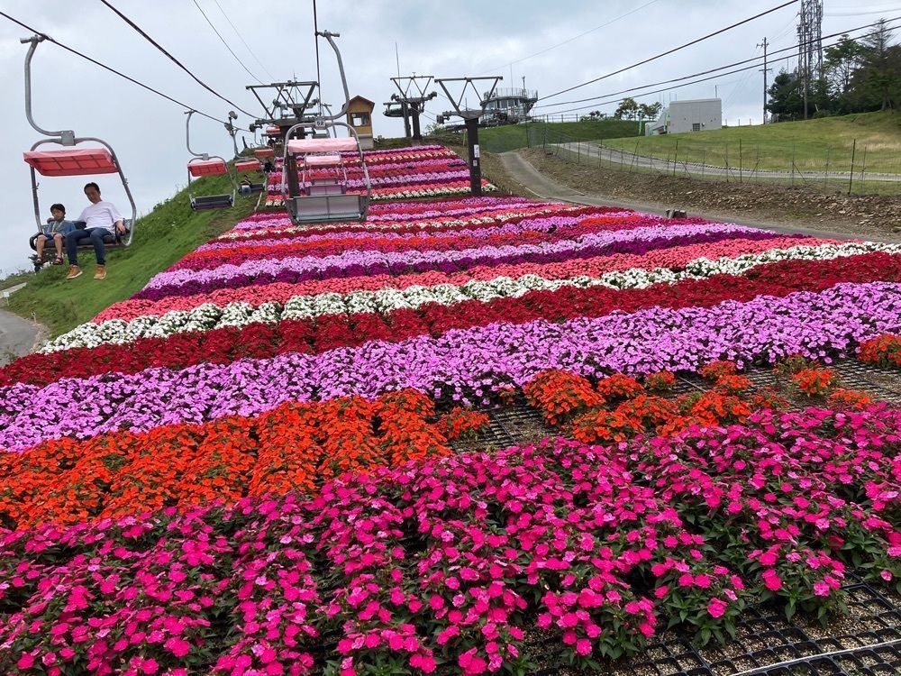 Howl Monさんが投稿した茶臼山高原「恋人の聖地」に関する口コミの画像