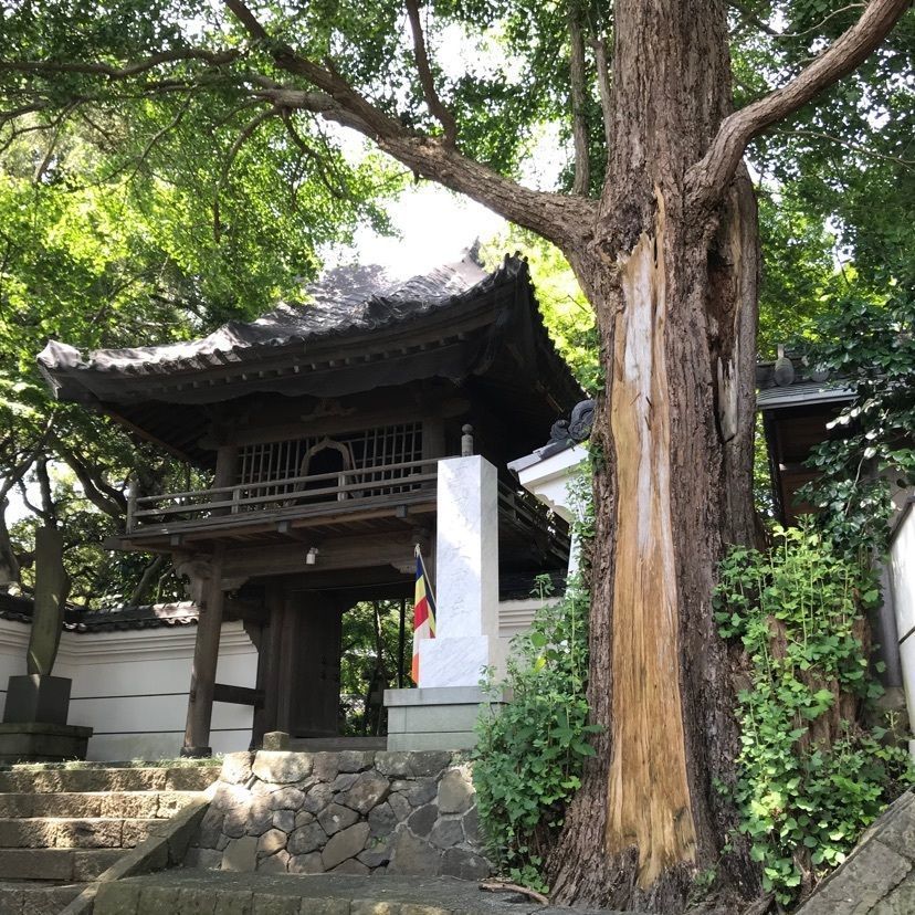 Maedaさんが投稿した大中寺に関する口コミの画像