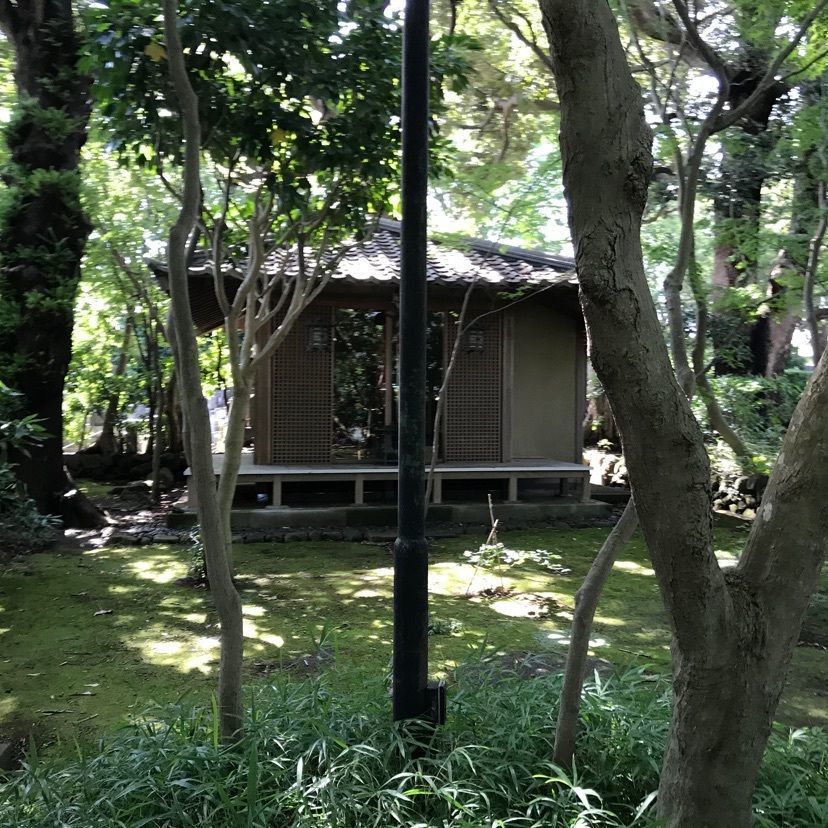 Maedaさんが投稿した大中寺に関する口コミの画像