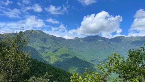 UFOライン 7枚目