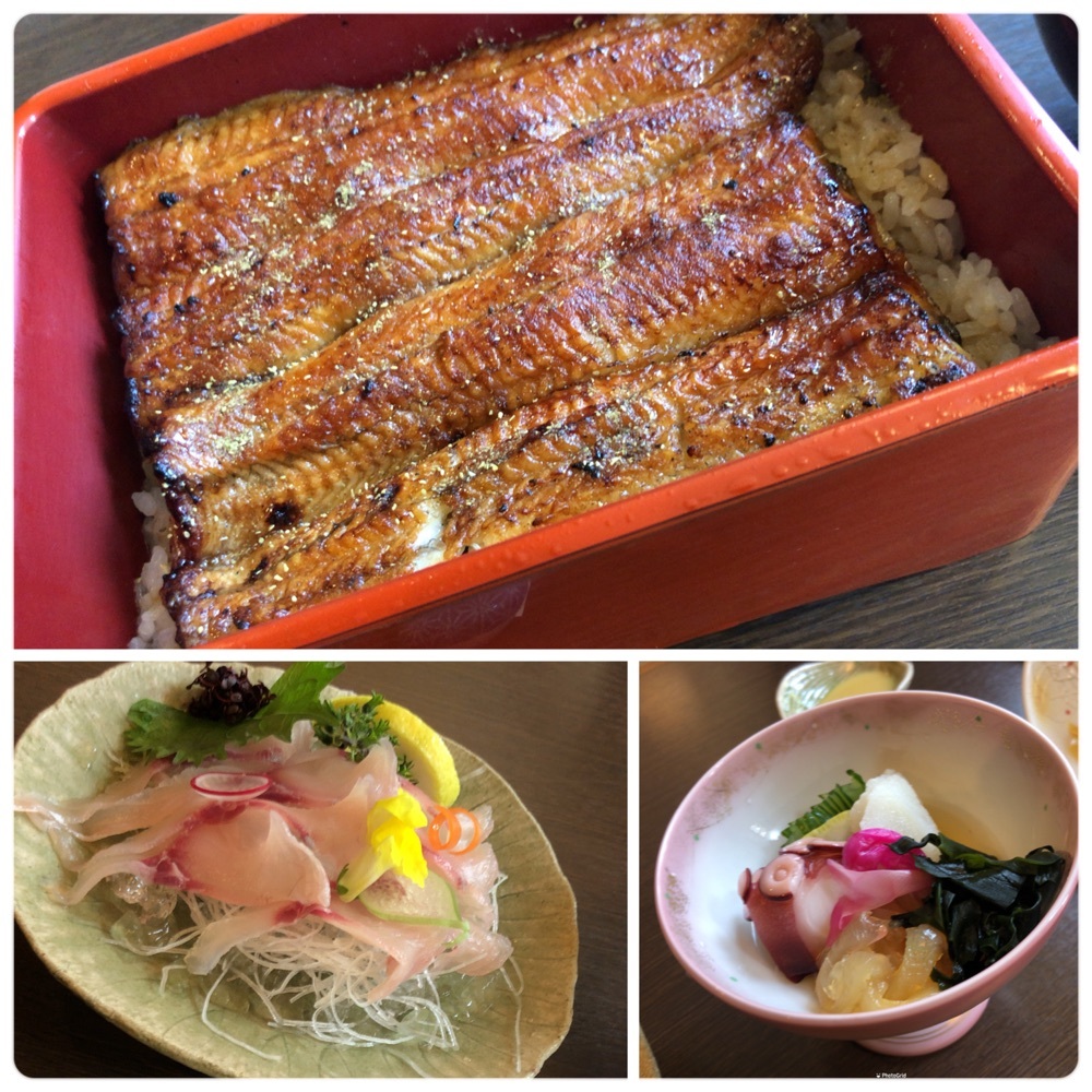 22最新 立川 八王子 青梅のおすすめ人気うなぎtop30 Aumo アウモ 22最新 立川 八王子 青梅のおすすめ人気うなぎtop30 Aumo アウモ