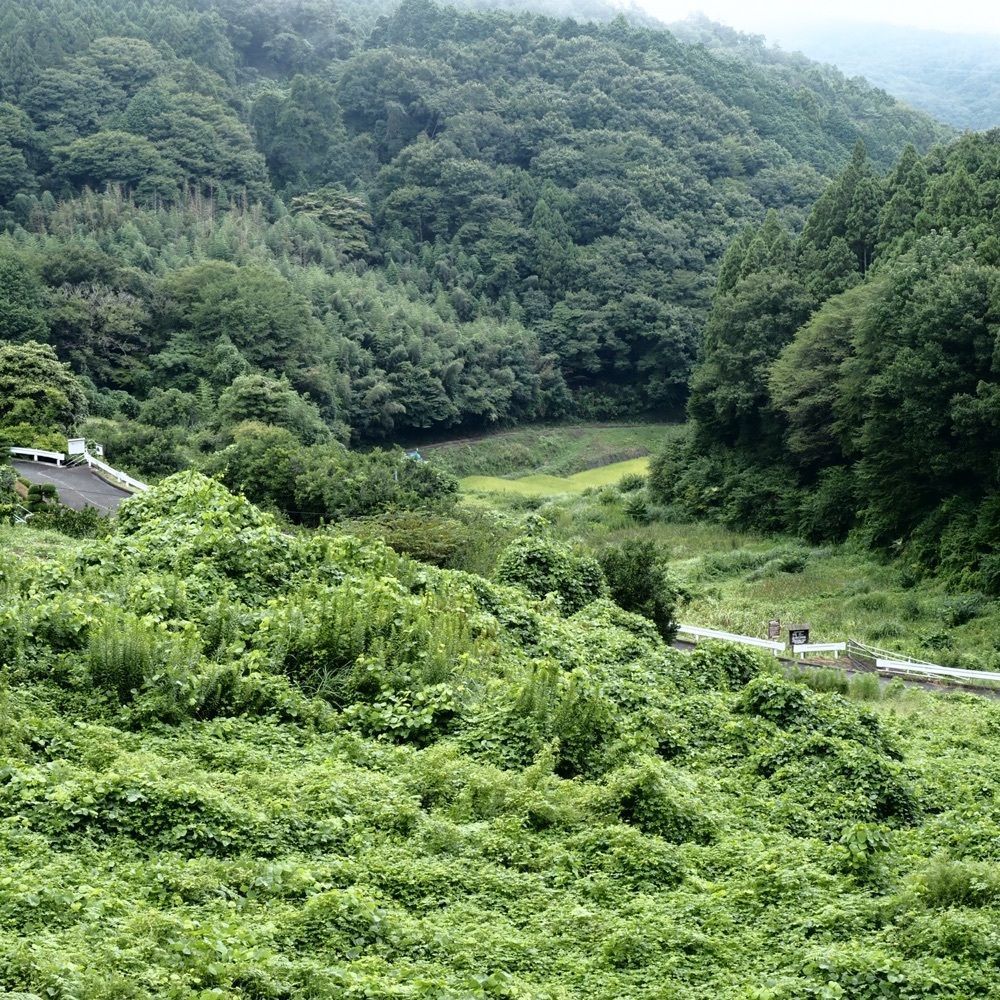 Shoさんが投稿した那珂川（栃木県那須烏山市）に関する口コミの画像