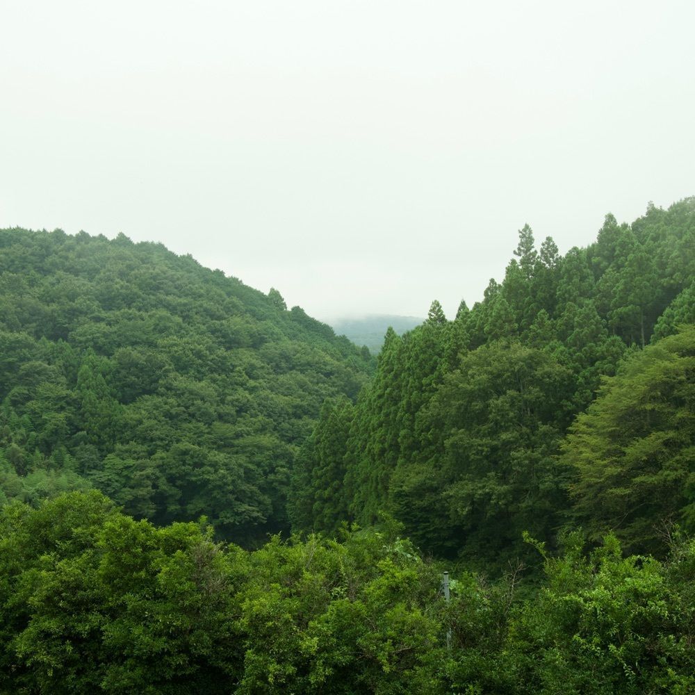 Shoさんが投稿した那珂川（栃木県那須烏山市）に関する口コミの画像
