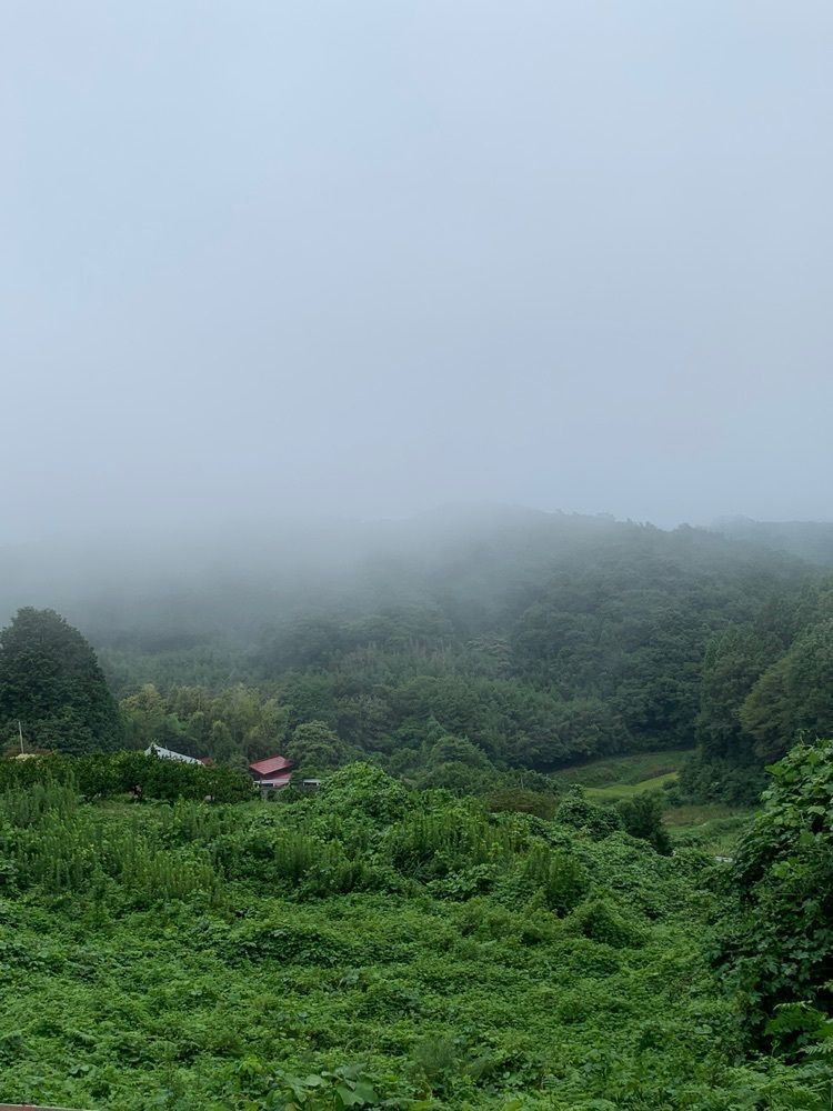 Shoさんが投稿した那珂川（栃木県那須烏山市）に関する口コミの画像