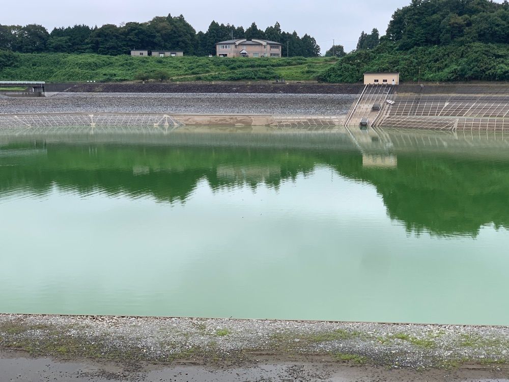 Shoさんが投稿した市貝町に関する口コミの画像