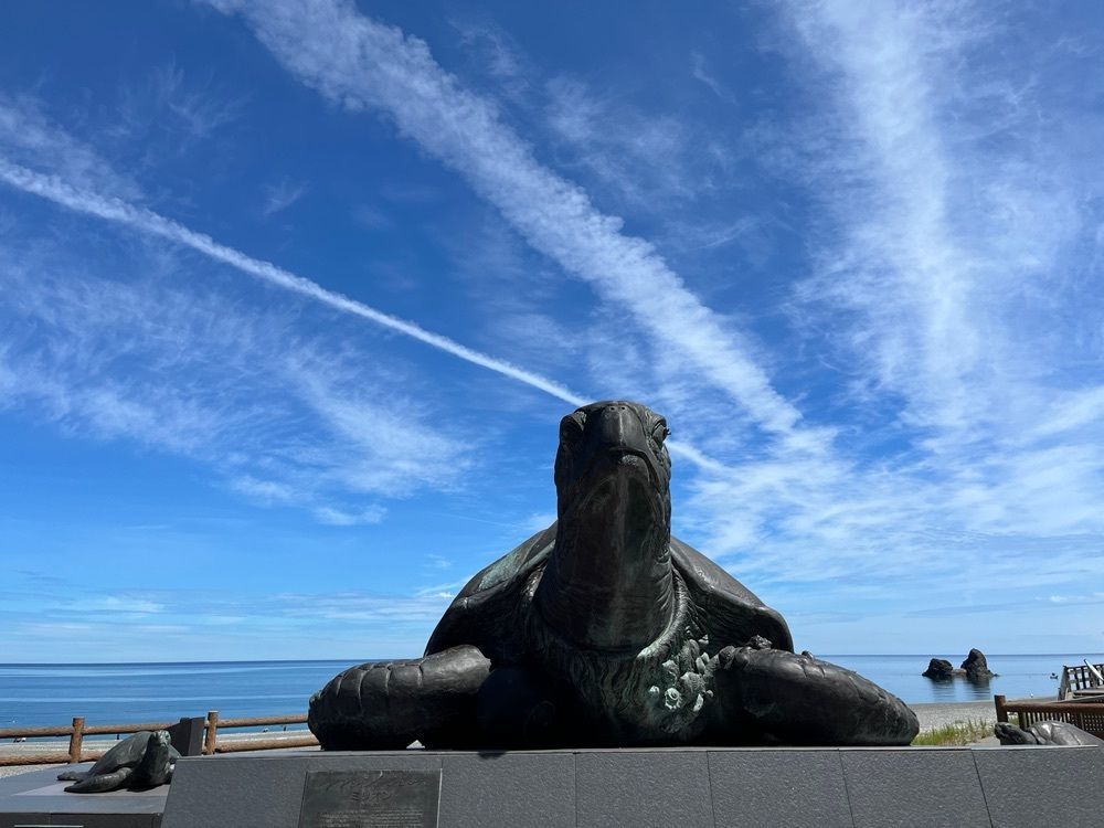 ミアボさんが投稿した親不知海水浴場に関する口コミの画像