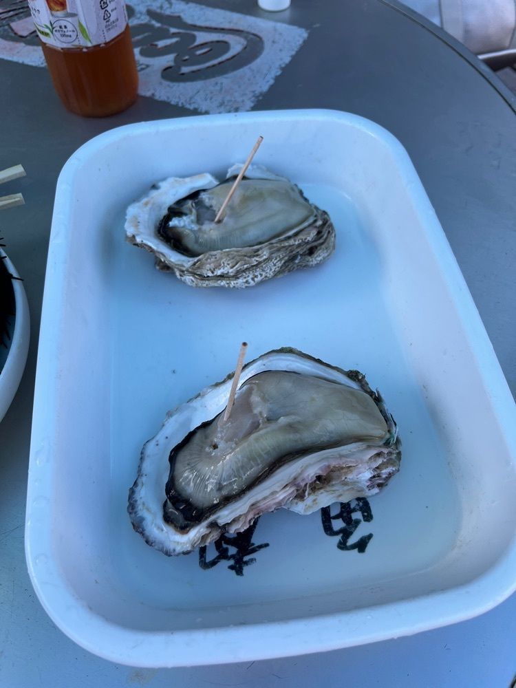 ミアボさんが投稿した親不知海水浴場に関する口コミの画像