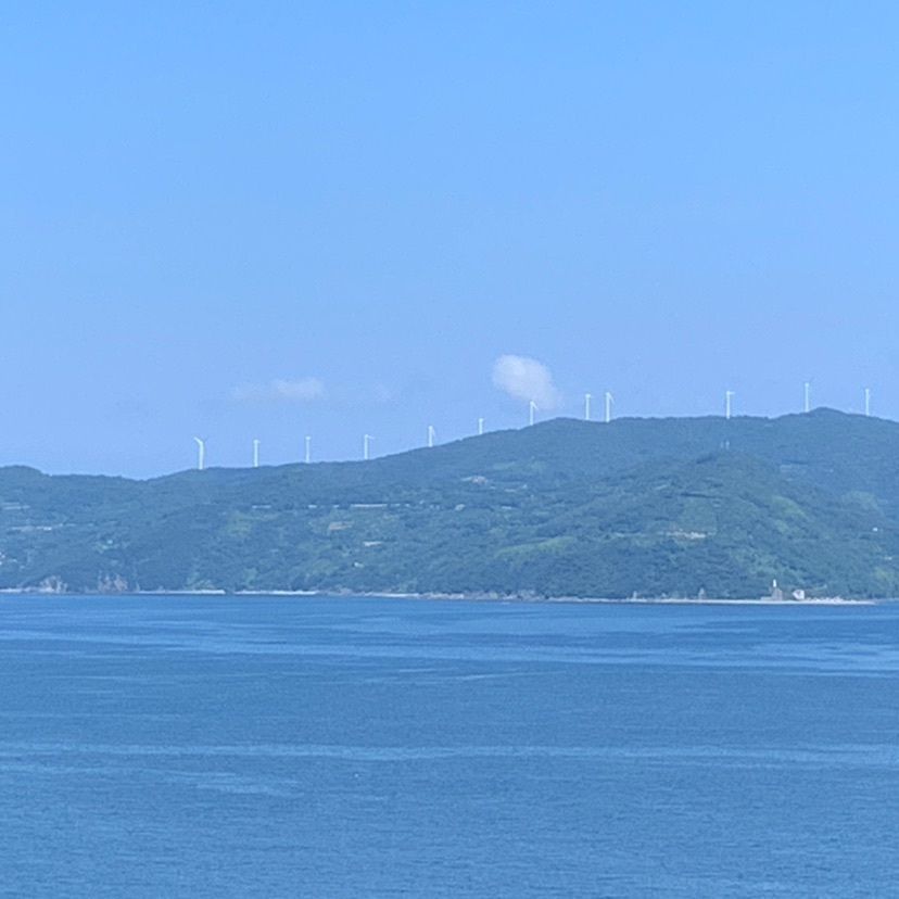 メリーさんが投稿した諏訪崎に関する口コミの画像