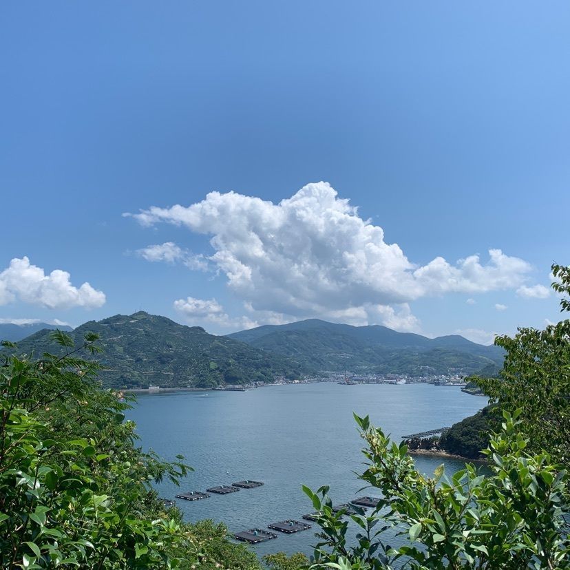 メリーさんが投稿した諏訪崎に関する口コミの画像