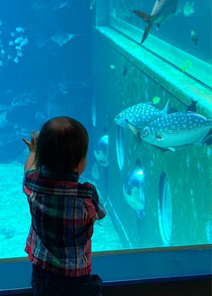 delicious_museum_7212さんが投稿した箱根園水族館に関する口コミの画像