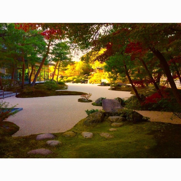 #足立美術館 #日本庭園 #紅葉 #島根
