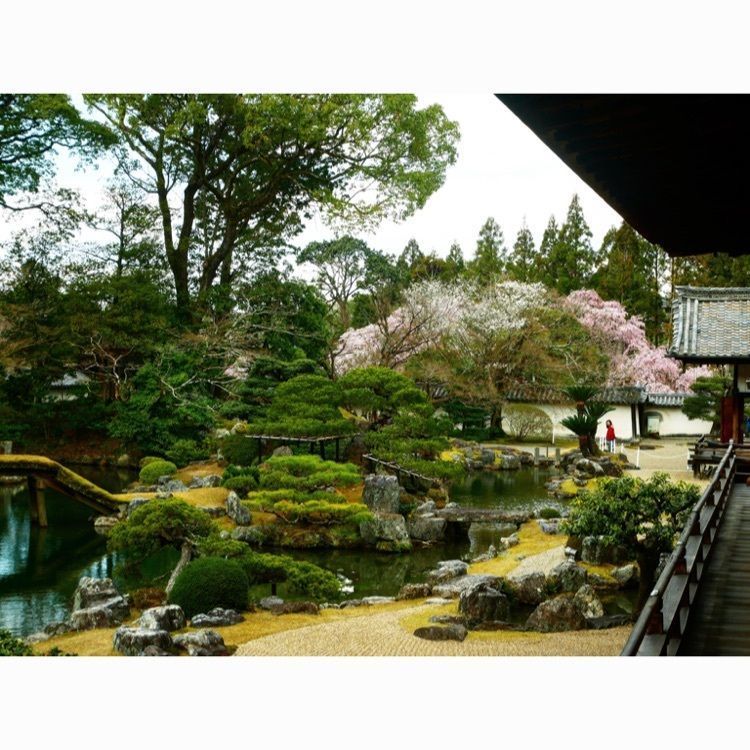 てっつーさんが投稿した醍醐寺(京都市伏見)に関する口コミの画像