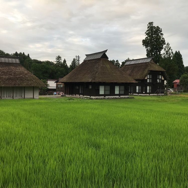 ぷかちいさんが投稿した荻ノ島かやぶきの里に関する口コミの画像