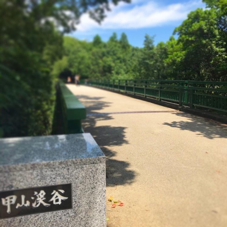 ruujunさんが投稿した甲山森林公園に関する口コミの画像