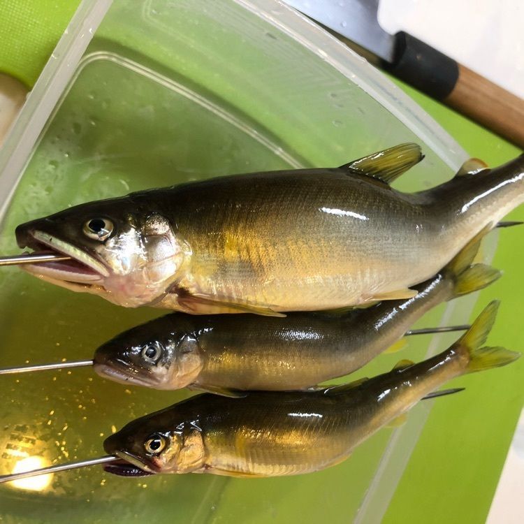 ちんっ！さんが投稿したカフェ レストに関する口コミの画像