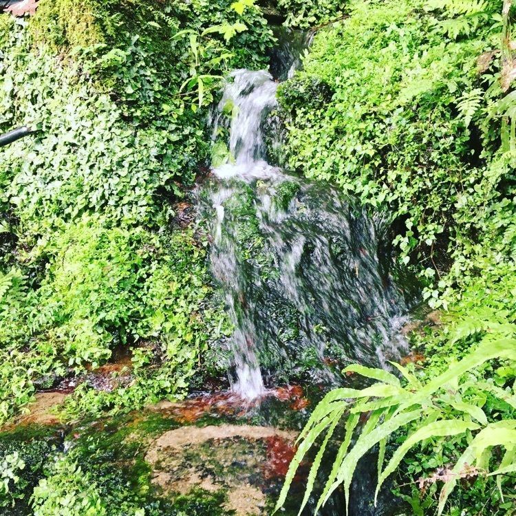 nostalgic_studio_8863さんが投稿した赤目温泉隠れの湯 対泉閣に関する口コミの画像